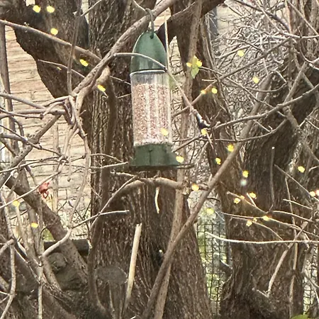 Fairy Dell - 247 Check In Boutique With Cozy Lockable Rooms, Tv, Tea Tray With Choccies, Free Wifi And Parking, Coa, Are Welcome *