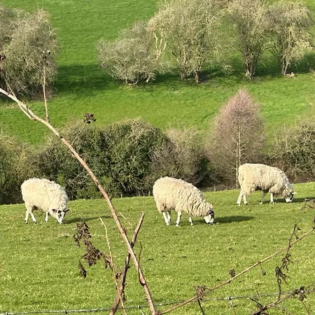 Fairy Dell 24-7 Check In, Cozy Lockable Rooms, Tv, Tea Tray With Choccies, Free Wifi And Parking, Coa, Are Welcome * Bradford (West Yorkshire)