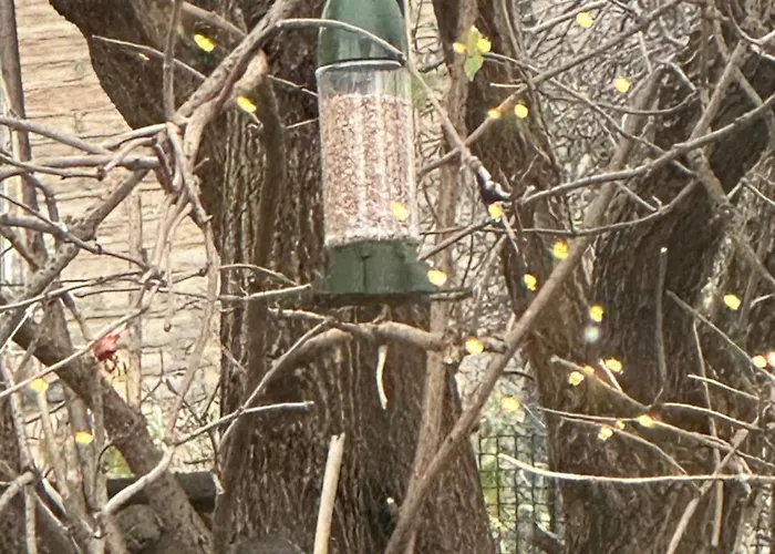 Fairy Dell 24-7 Check In, Cozy Lockable Rooms, Tv, Tea Tray With Choccies, Free Wifi And Parking, Coa, Are Welcome *