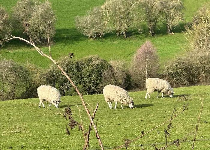Fairy Dell 24-7 Check In, Cozy Lockable Rooms, Tv, Tea Tray With Choccies, Free Wifi And Parking, Coa, Are Welcome * Bradford (West Yorkshire)